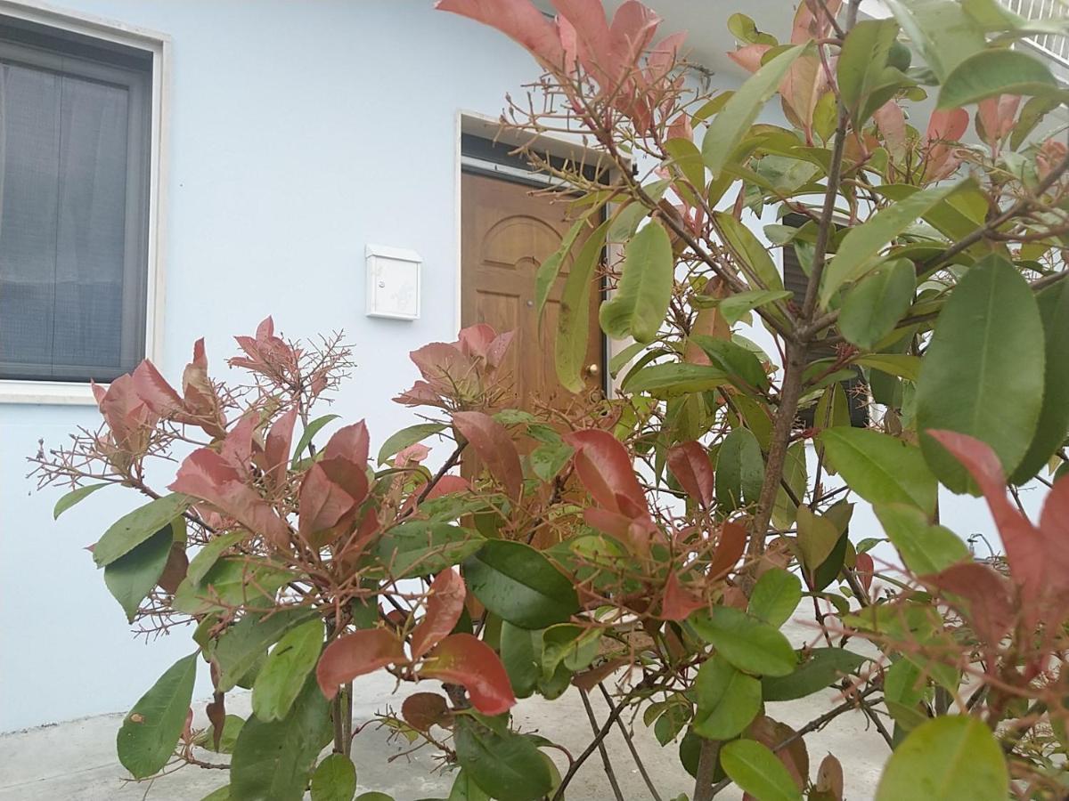 Rosa Dei Venti House Villa Кампомарино Екстериор снимка